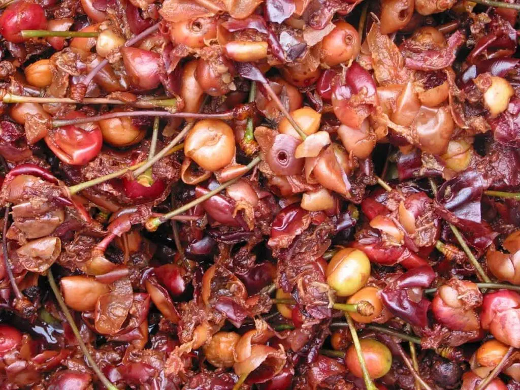 Mashed cherries